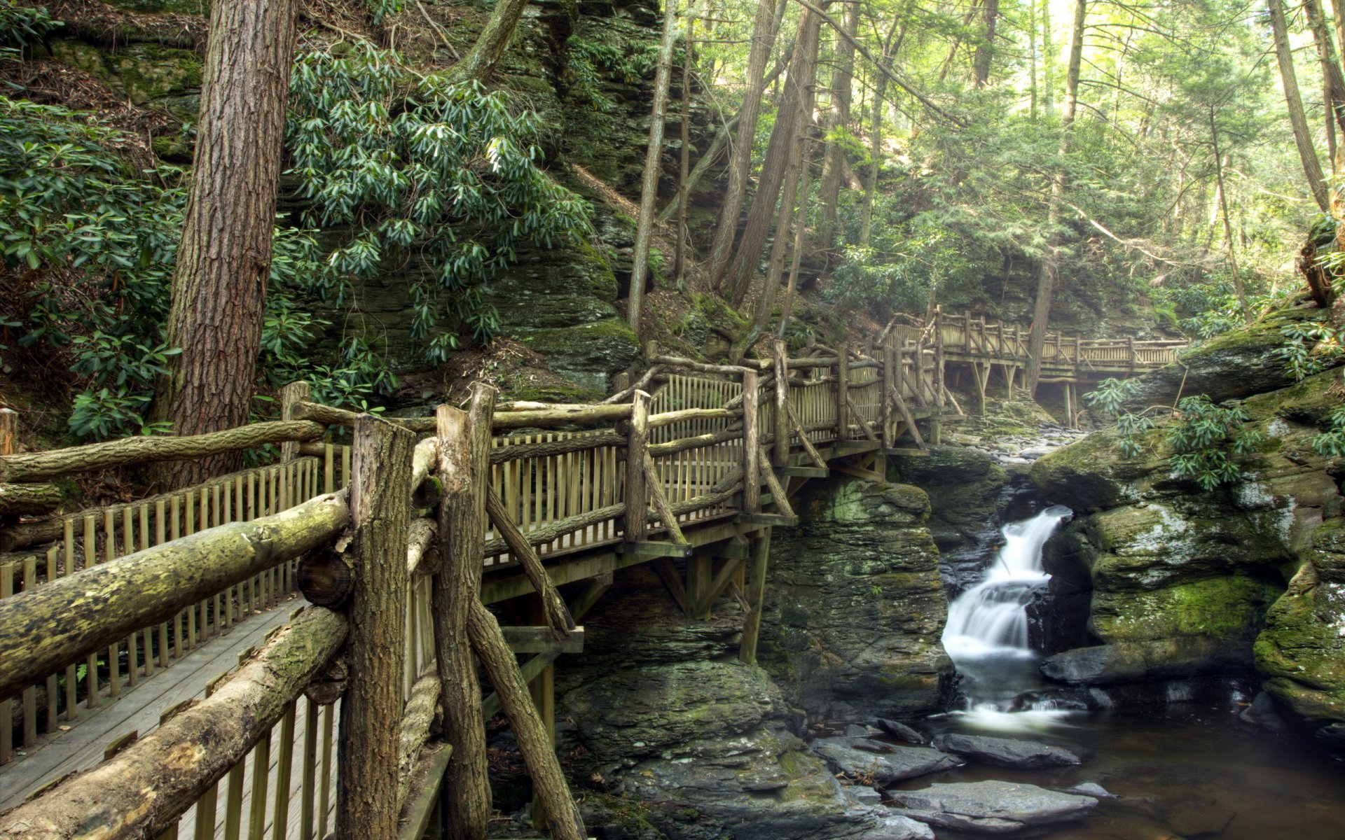 park rzeka most natura