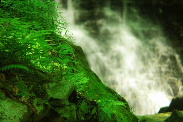 Mit Moos bedeckte Felsen und ein Wasserfall