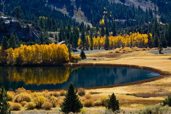 Décoration d automne du lac dans la forêt