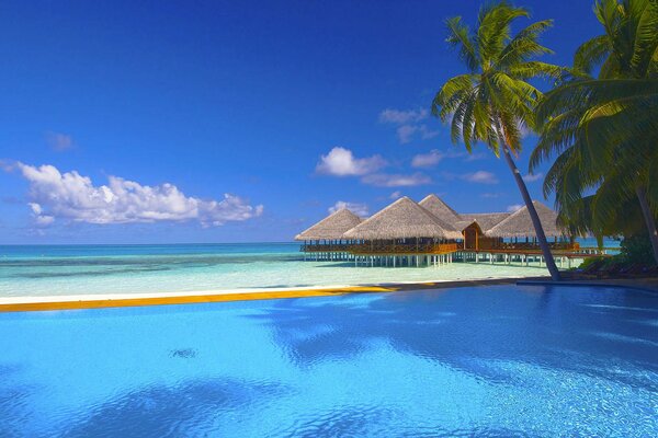 Paradise on the ocean