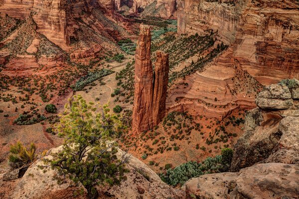 Canyons en été avec de l herbe et des arbres