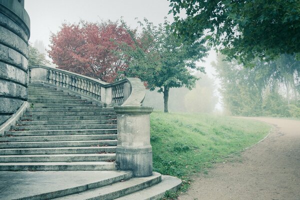 Scale nella nebbia. Strada nebbiosa