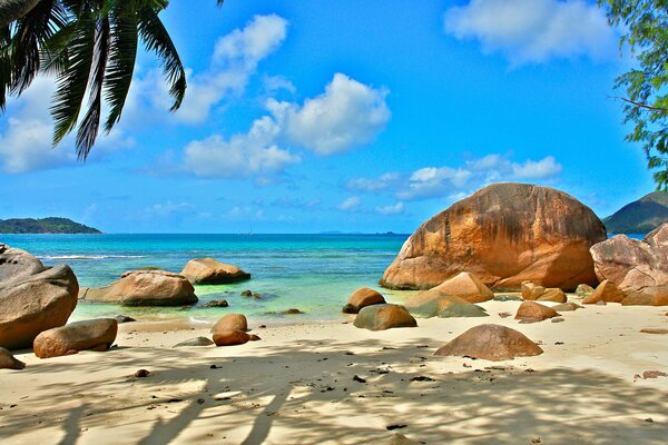 Vacances sur la côte de sable des Seychelles