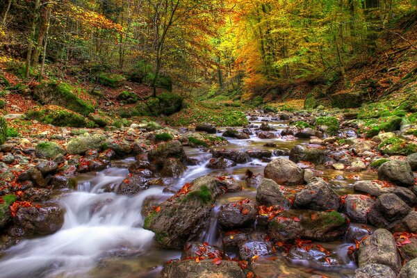 Ein Bergfluss, der auf Felsen fällt