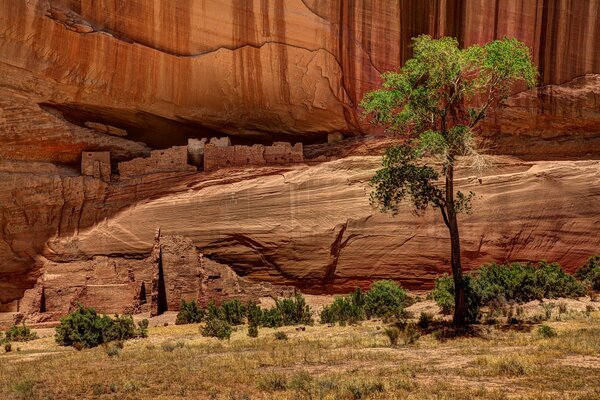 Canyon con resti antichi di abitazioni e disegni