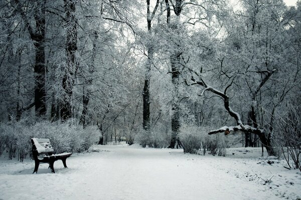 Panchina in un parco innevato in inverno