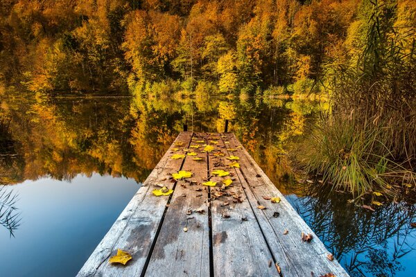 Puente de madera en el lago en el bosque de otoño. Tranquilo día de otoño junto al lago del bosque