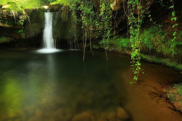 Stagno con acqua limpida, rive ricoperte di verde e una cascata