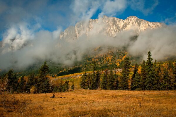 Nature in autumn with a view of the mountains and fog