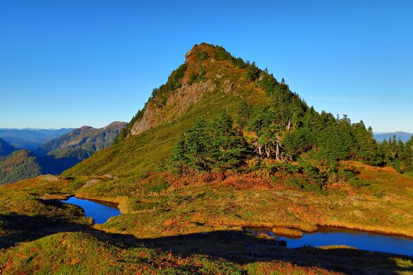 A green hill with trees. Mountain lakes