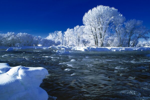 Rivers and trees in the snow in winter