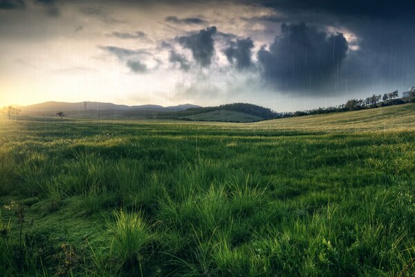 Hills and fields in bad weather