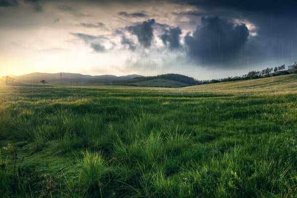 Wzgórza i pole przy złej pogodzie