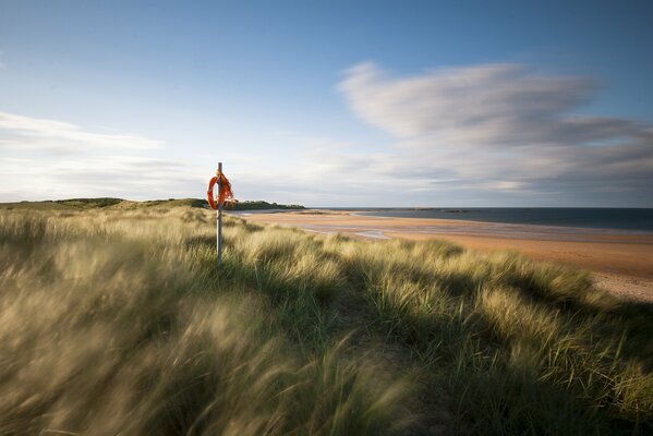 On the seashore among the grass lifebuoy