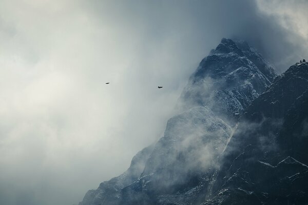 Himalaya mountains in the snow with flying birds in the clouds