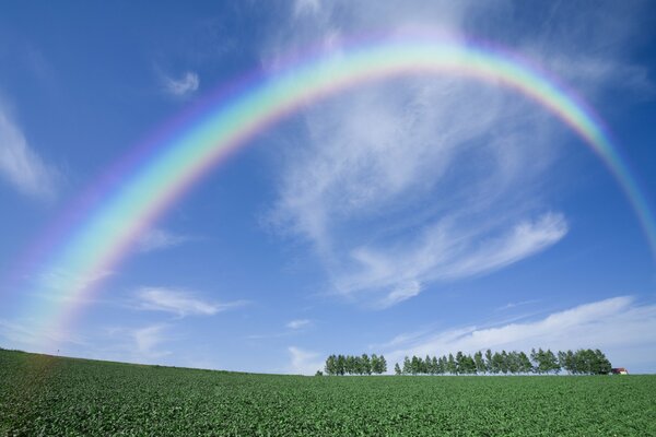 A bright rainbow on a green field