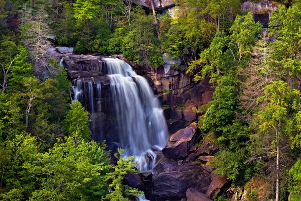 Cascada en rocas y árboles