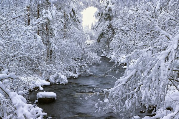 Fluss im Winterschneewald in Schweden