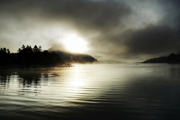 Niebla sobre el lago y el bosque