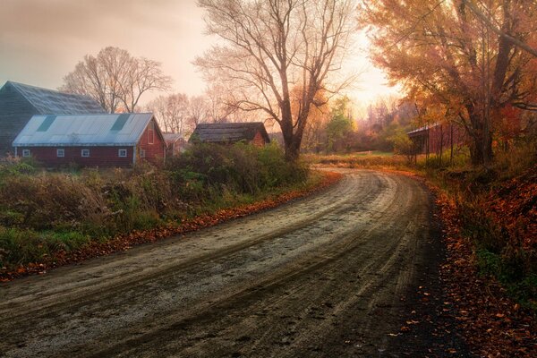 Autumn nature and the road in the village