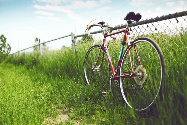 Bicicleta roja en la valla en la hierba