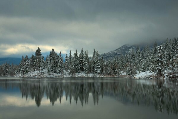 Lac au pied de la forêt et des montagnes