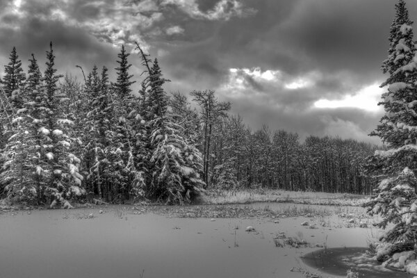 Clouds over the winter forest. Black and white photo