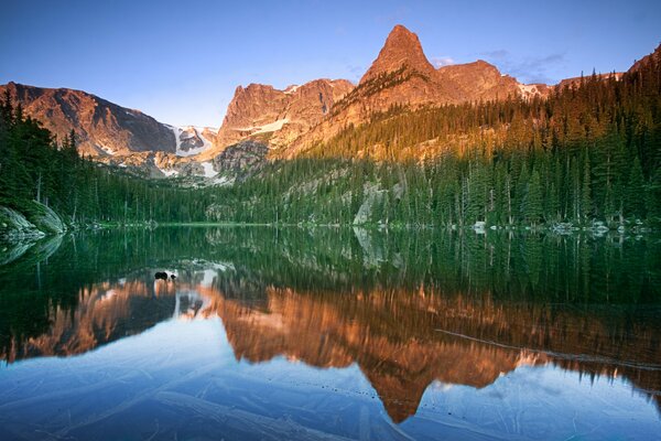 Photo of rocks reflected in a pond