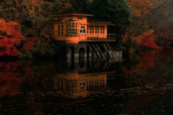 Casa sull acqua nella foresta d autunno