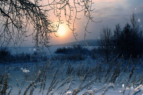 Winter sunset on an empty field