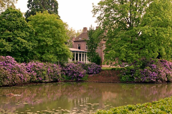 Casa con parco e fiori vicino allo stagno