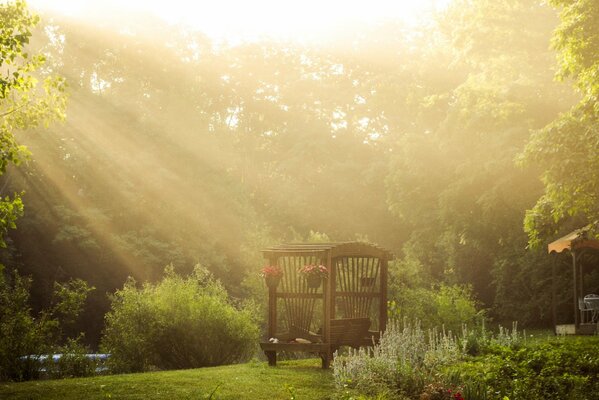 Belvédère dans une clairière baignée de soleil