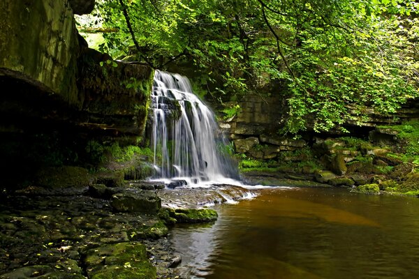 A small waterfall in the forest flowing into the river