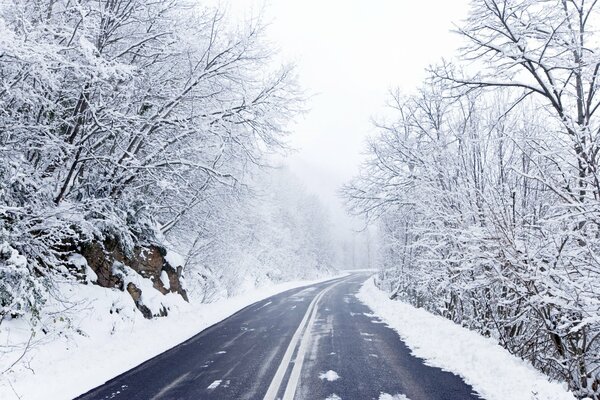 Camino a través del bosque de invierno