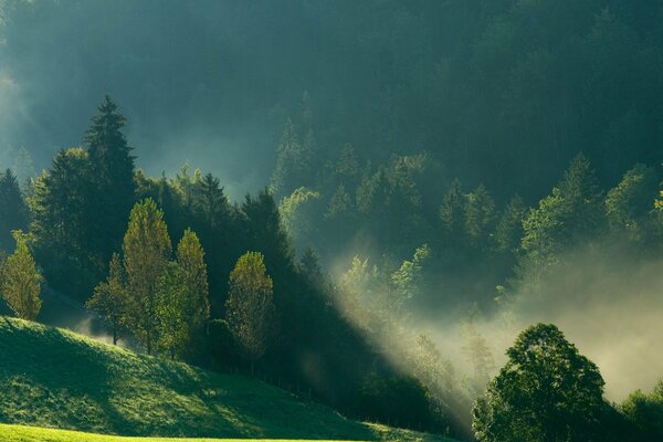 High mountains are visible in the foggy morning