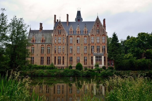 Blick vom Teich auf die majestätische Burg