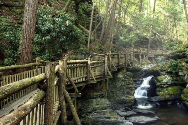 Ancient bridge across the river in nature