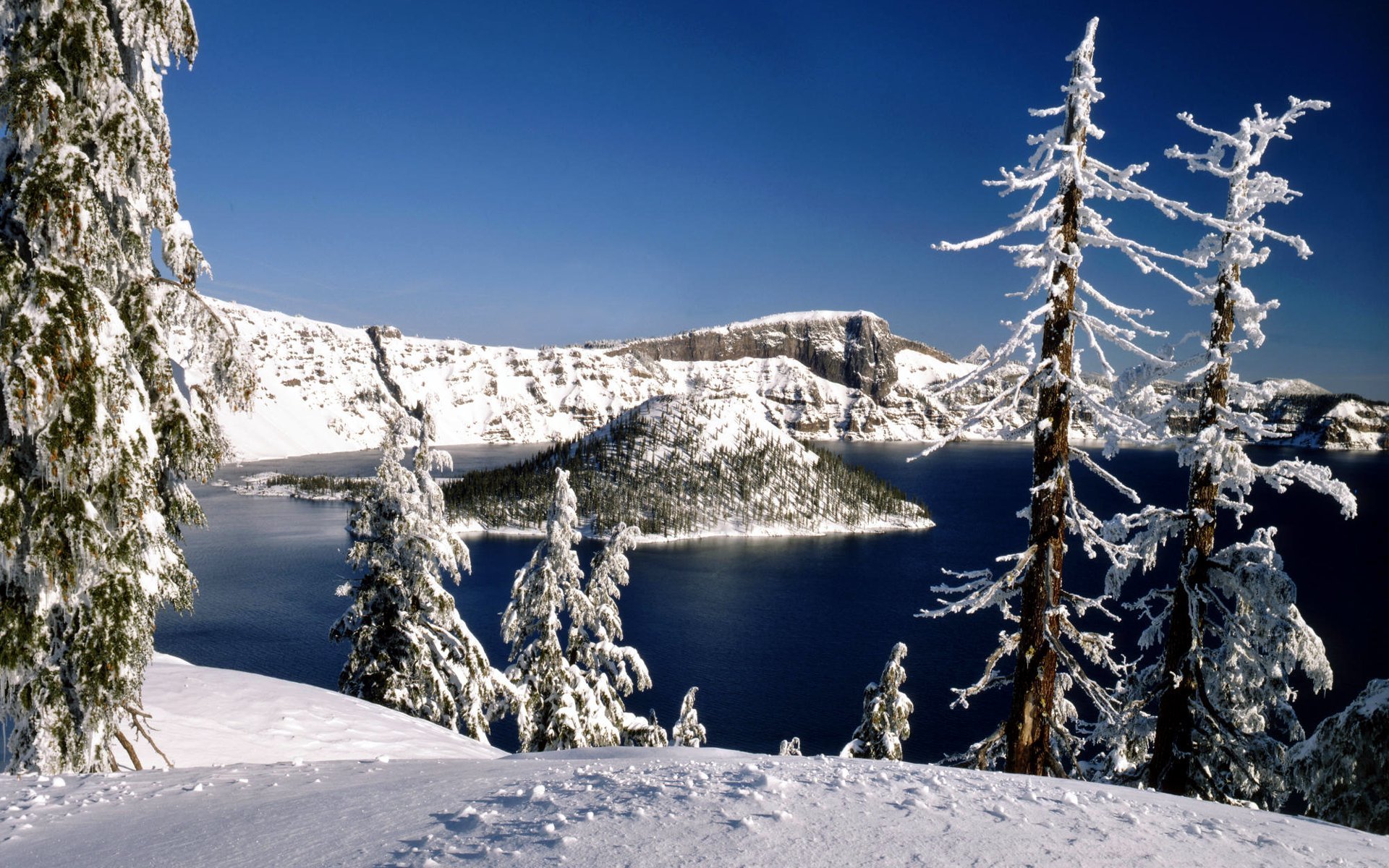 natura inverno neve foresta alberi lago isola