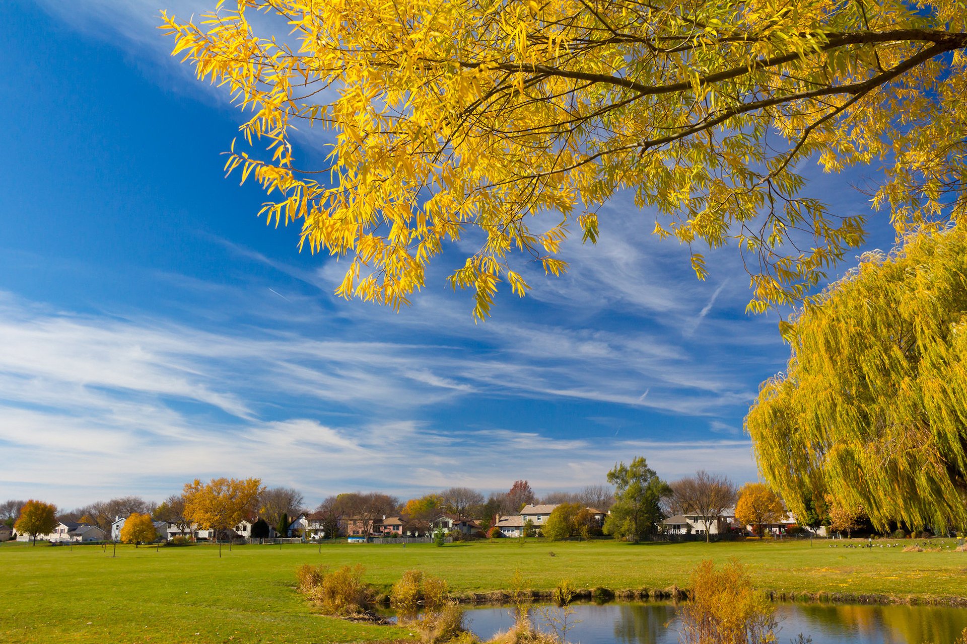 autumn sky willow pond house