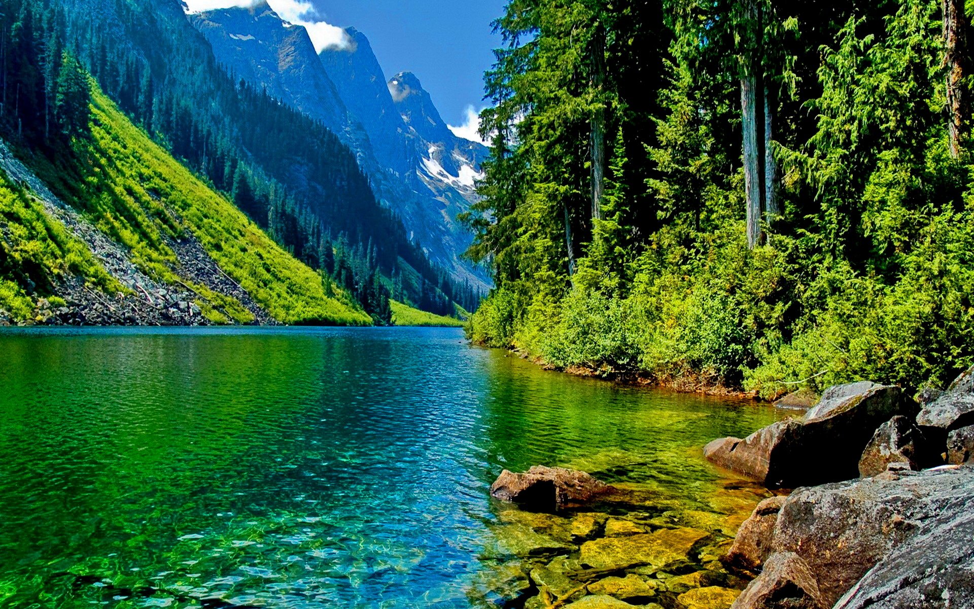 mountain river mountains rocks forest stones trees