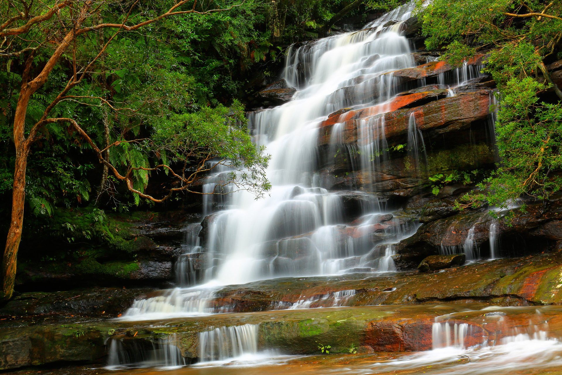 nature forest river feed waterfall stones tree