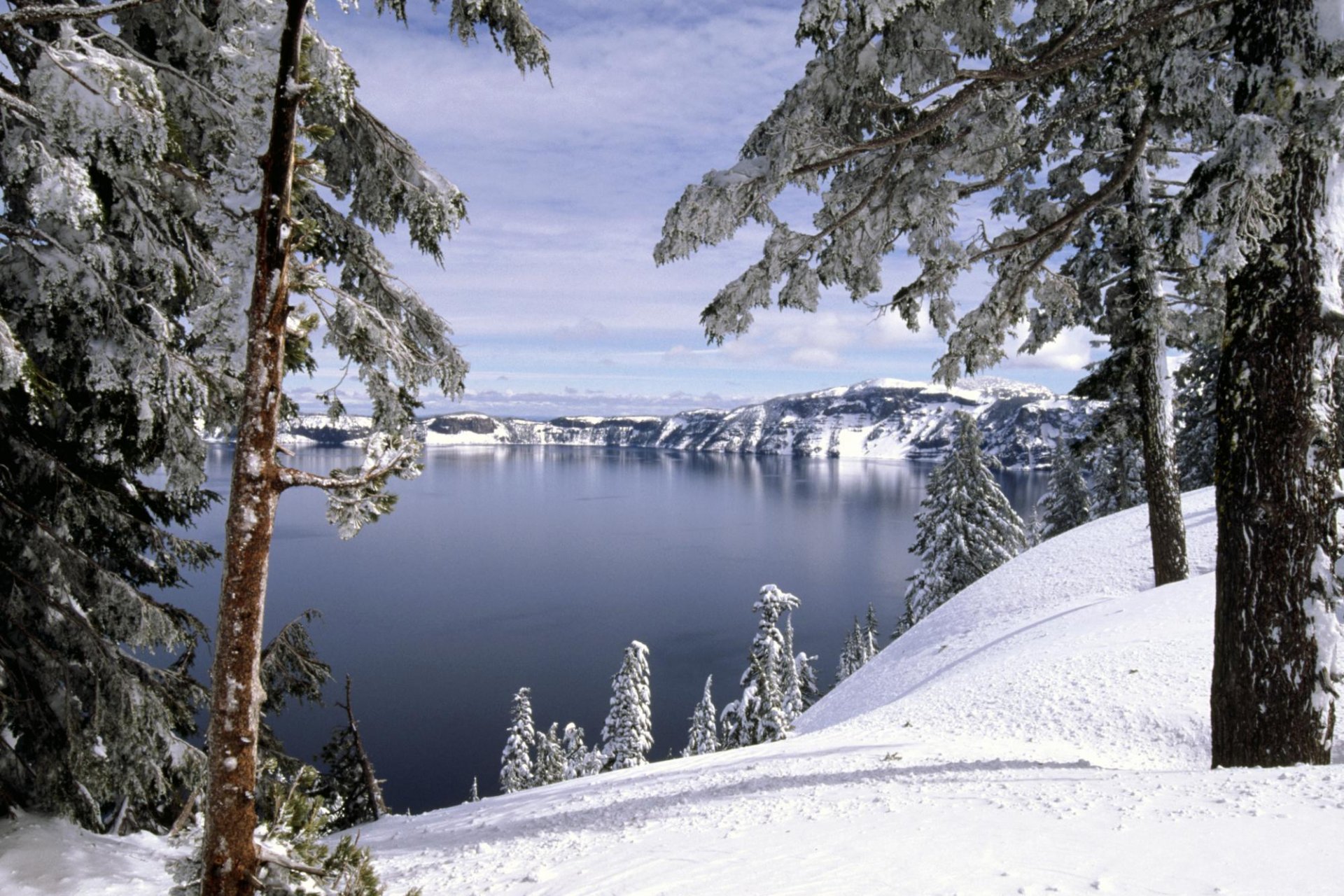 winter snow forest tree lake hill