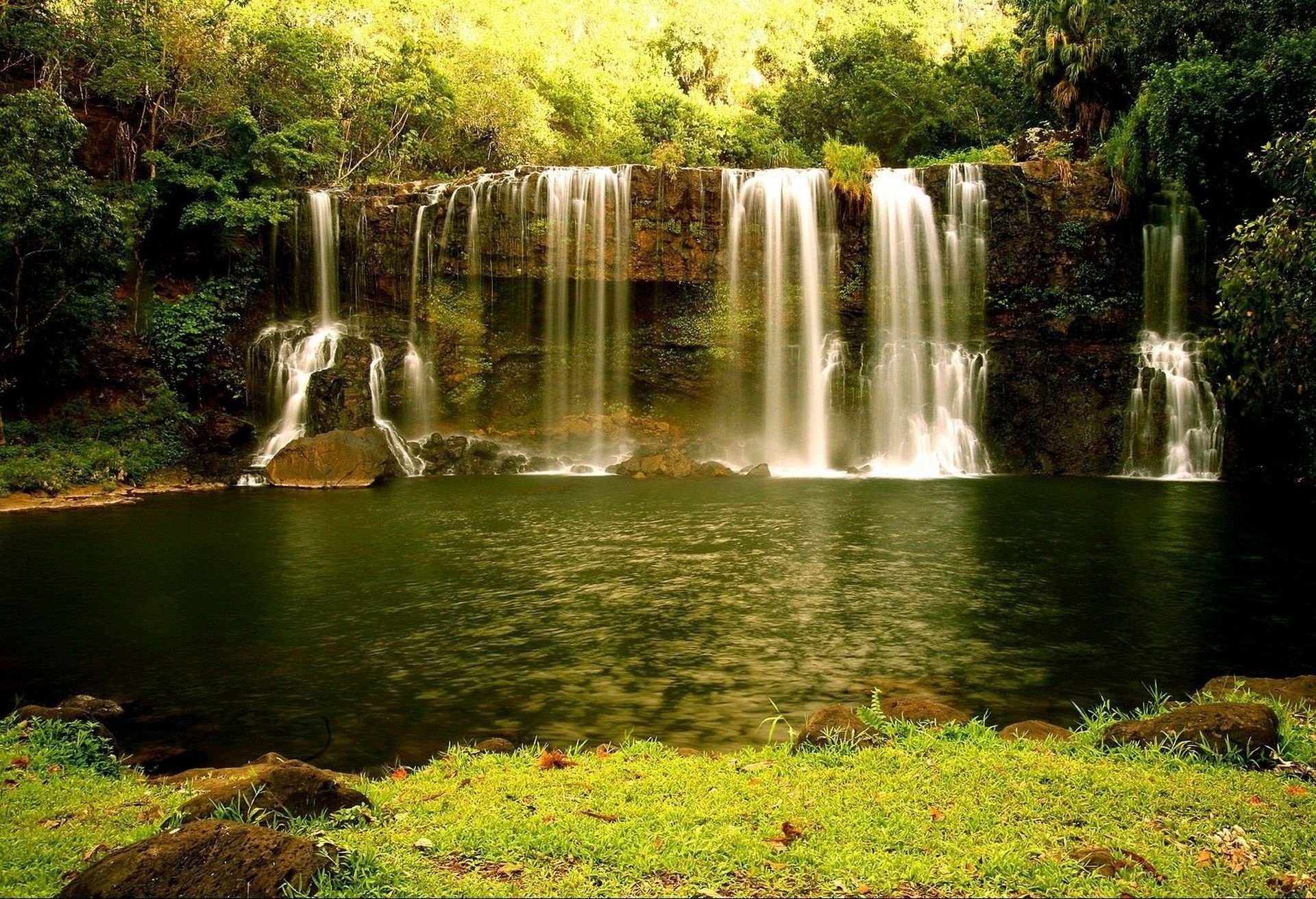 cascade eau forêt nature