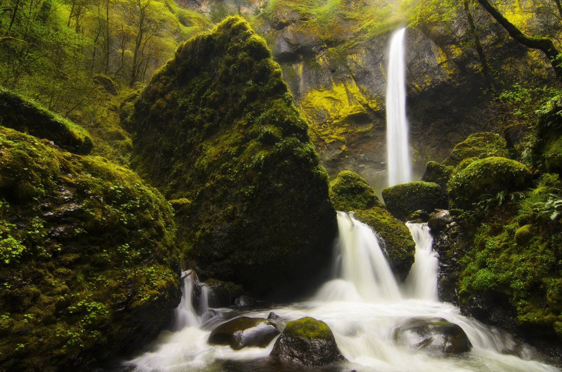 nature forest stones moss grass waterfall river