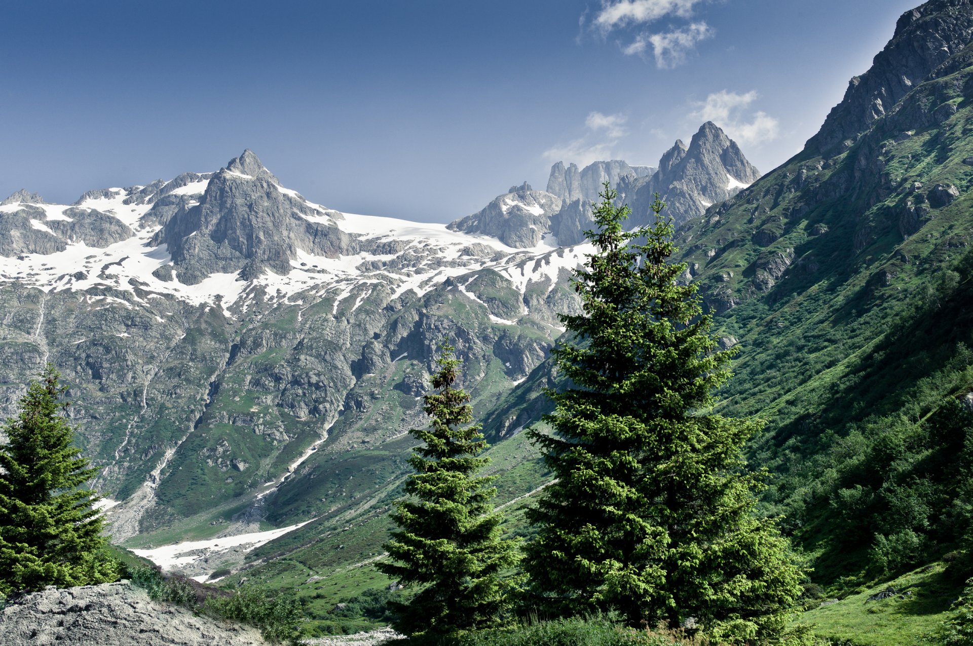 naturaleza montañas alpes bosque verano