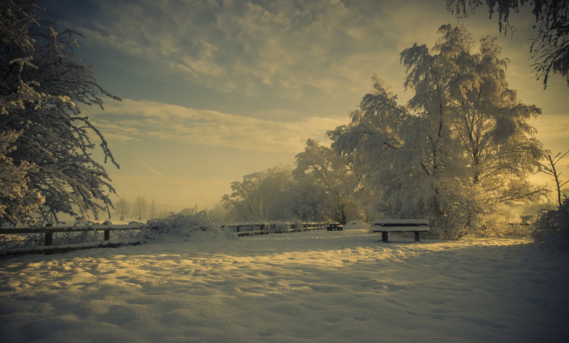 nature hiver parc boutique neige