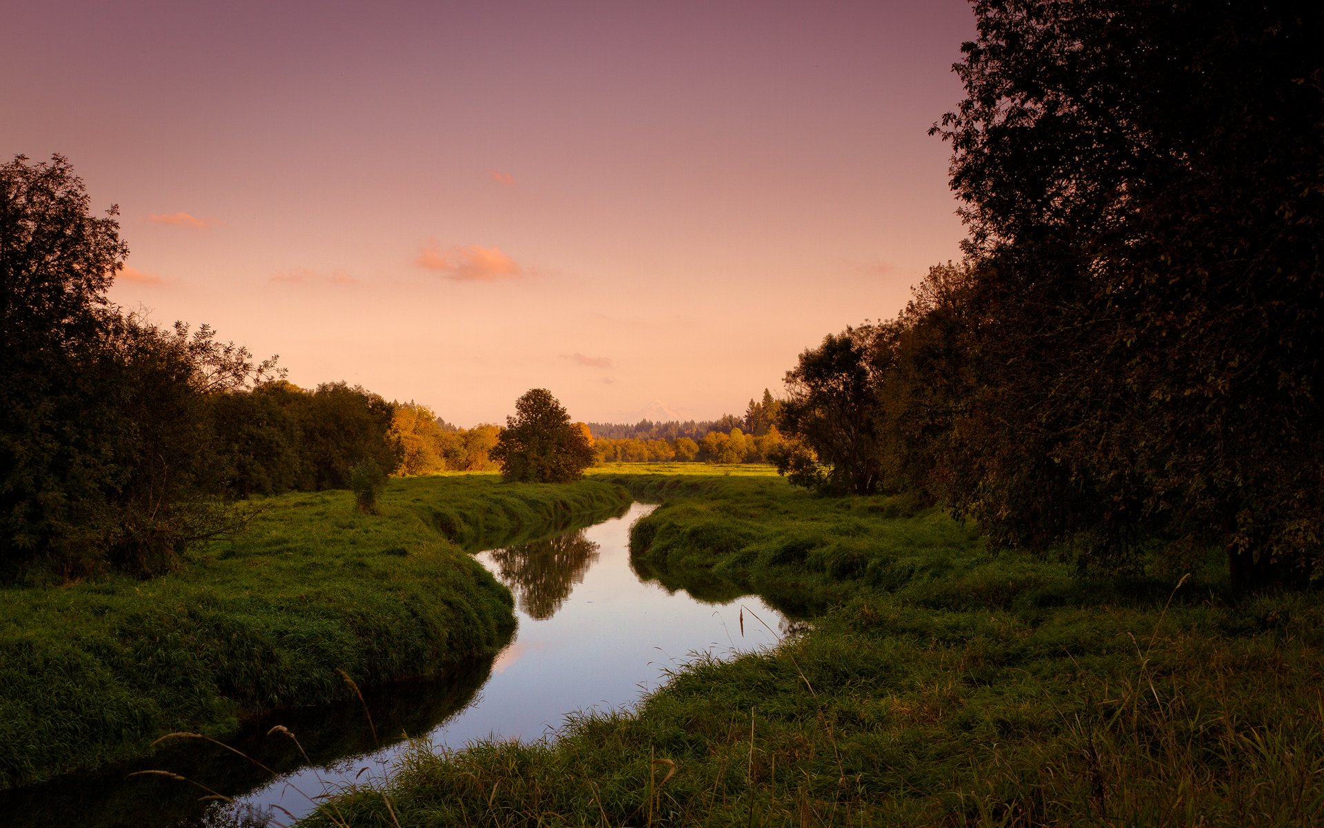 trawa drzewa natura strumień lato wieczór