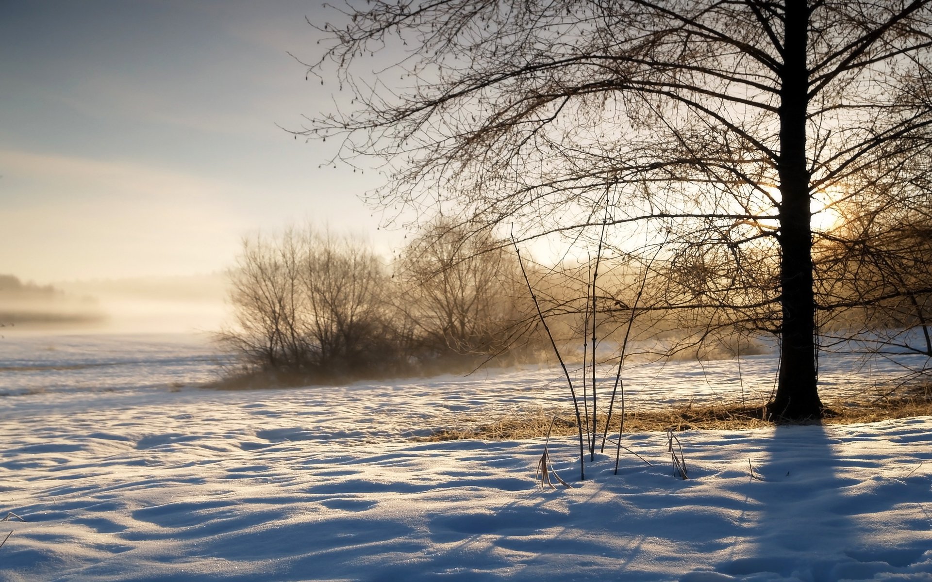 hiver hiver brume vapeur évaporation matin soleil lever du soleil ciel arbre buissons froid gel neige étincelles ombres herbe