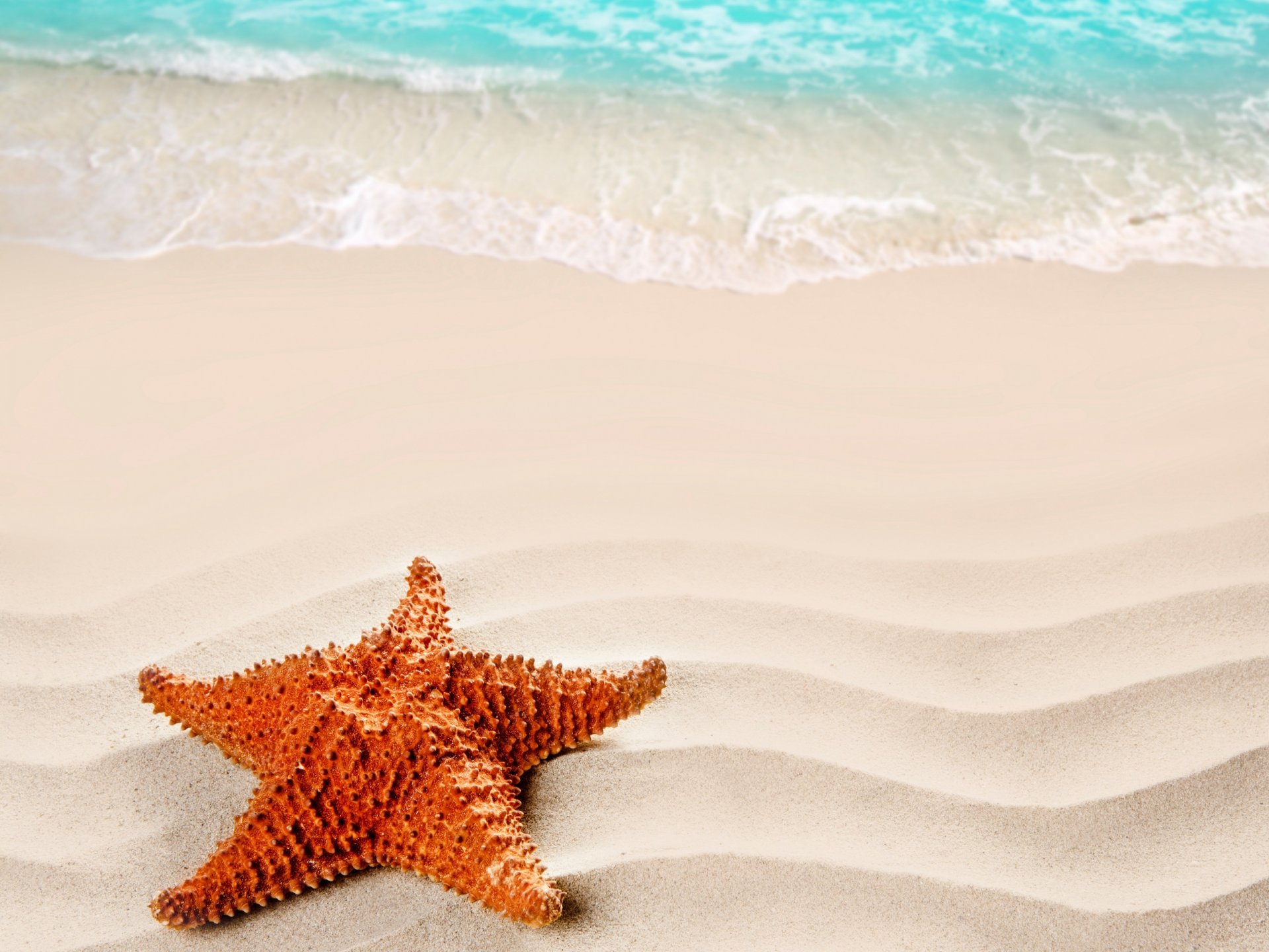 nature mer sable plage étoiles été