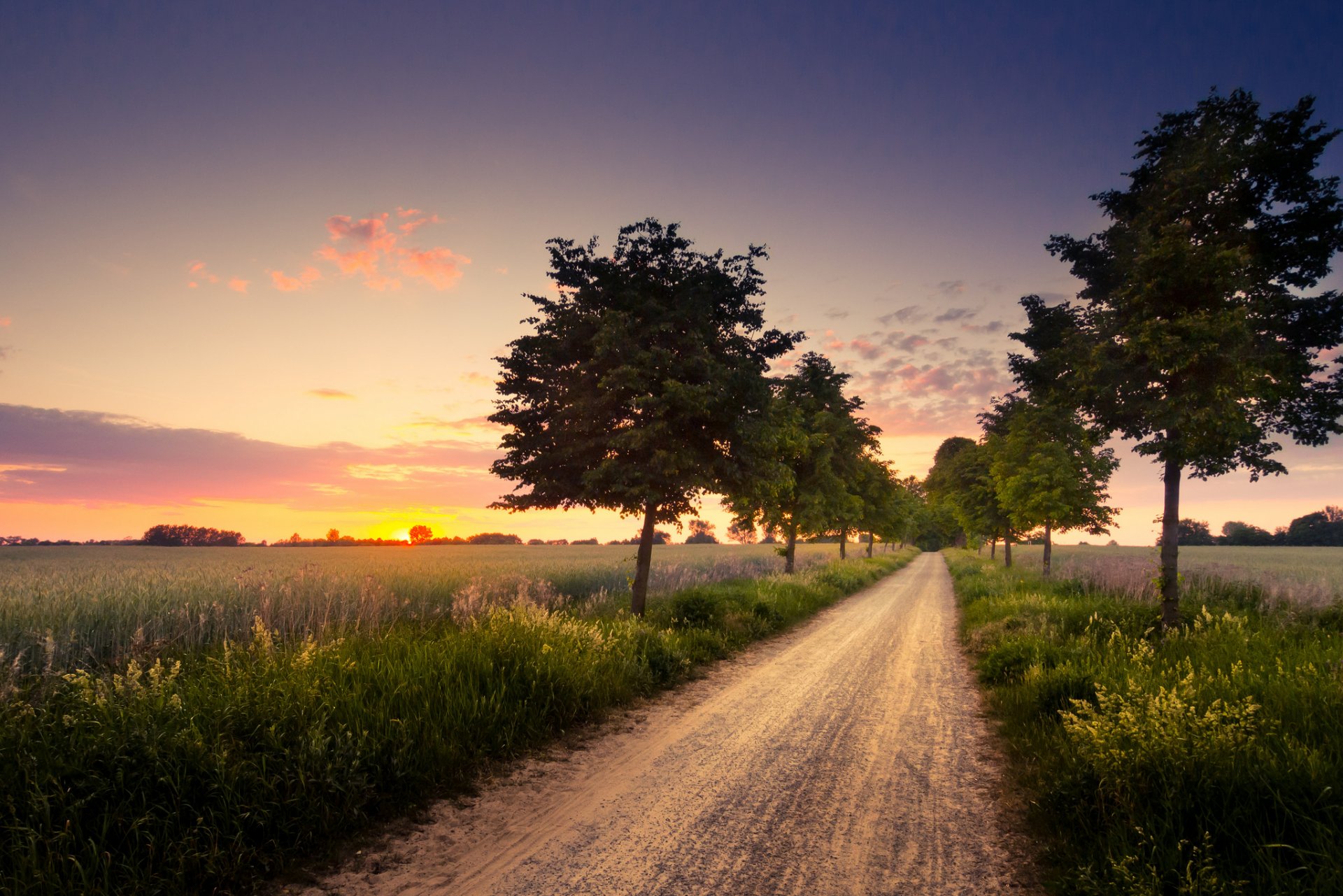 nature soir coucher de soleil champs arbres route